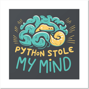 Python stole my mind Posters and Art